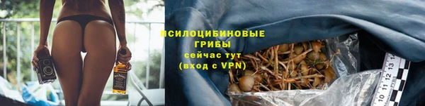 Альфа ПВП Магадан