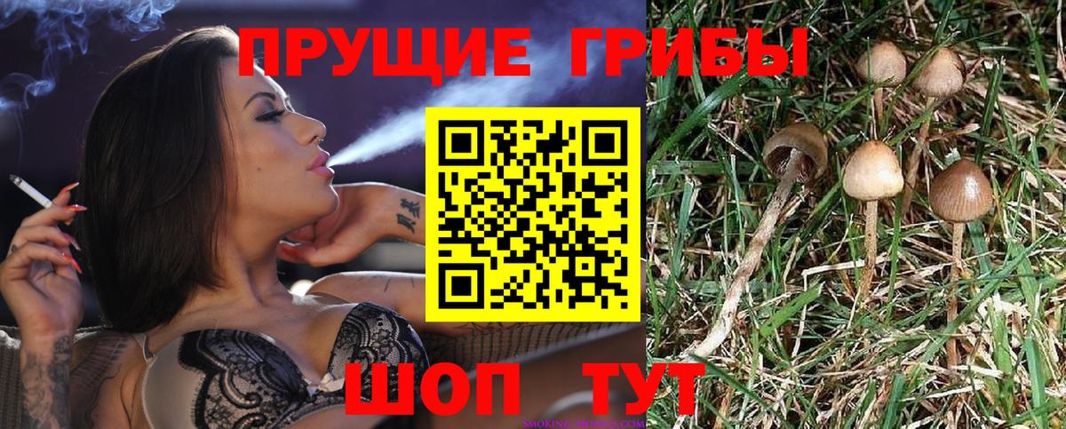 Псилоцибиновые грибы MAGIC MUSHROOMS  Вход с VPN  Пенза 