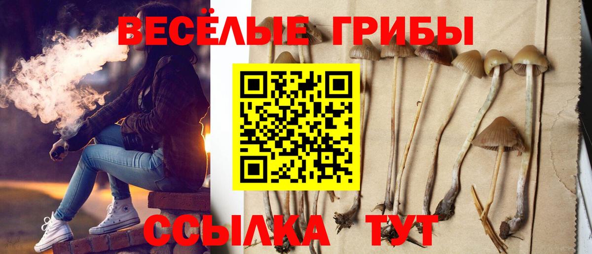 Галлюциногенные грибы ЛСД  Пенза  Галлюциногенные грибы Psilocybe 