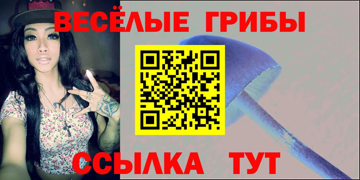 Галлюциногенные грибы Cubensis Пенза
